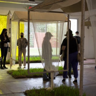 People viewing grass installation on the ground with see through knit hanging from a piece of wood.