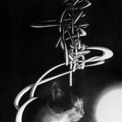 pencil sketch of a cat with abstract lines floating above it.
