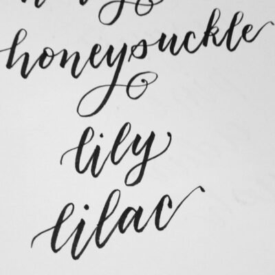 honeysuckle, lily and lilac written in black cursive script from Andrea Tosten's Script Lettering Workshop