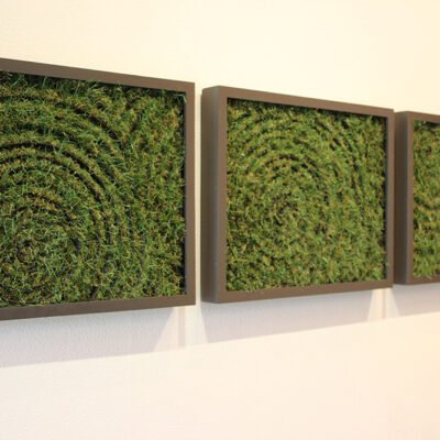 three frames each with a spiral of artificial grass inside