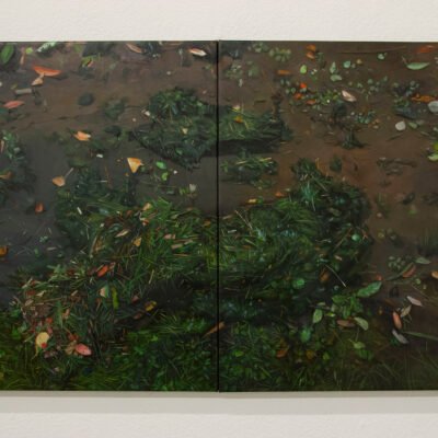 set of acrylic paintings of the ground, there is torn up grass and leaves everywhere.