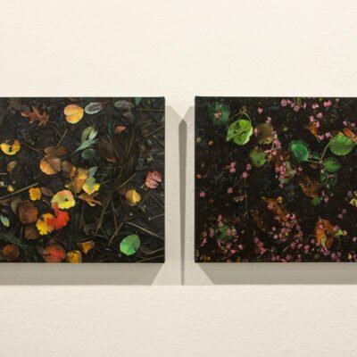 oil paintings of leaves and flowers in a puddle