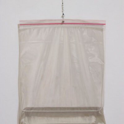 oil painting of a baggie filled with water, thumbtacked to the wall