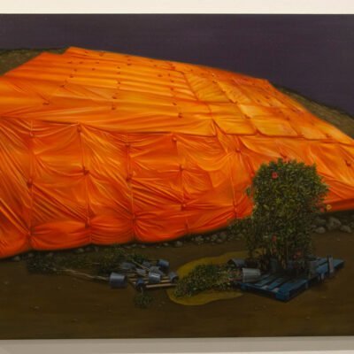acrylic painting of an orange sheet layed out on a hill. There are potted trees knocked over at the bottom of the hill.