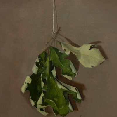 painting of dead leaf taped to the wall.