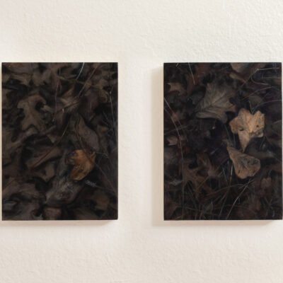 set of acrylic paintings of dark, dead pile of leaves.