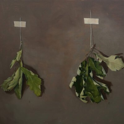 painting of two dead leaves taped to the wall.
