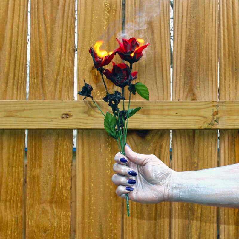 Cindy Popp, Rose, digital color photograph, 16" x 16"