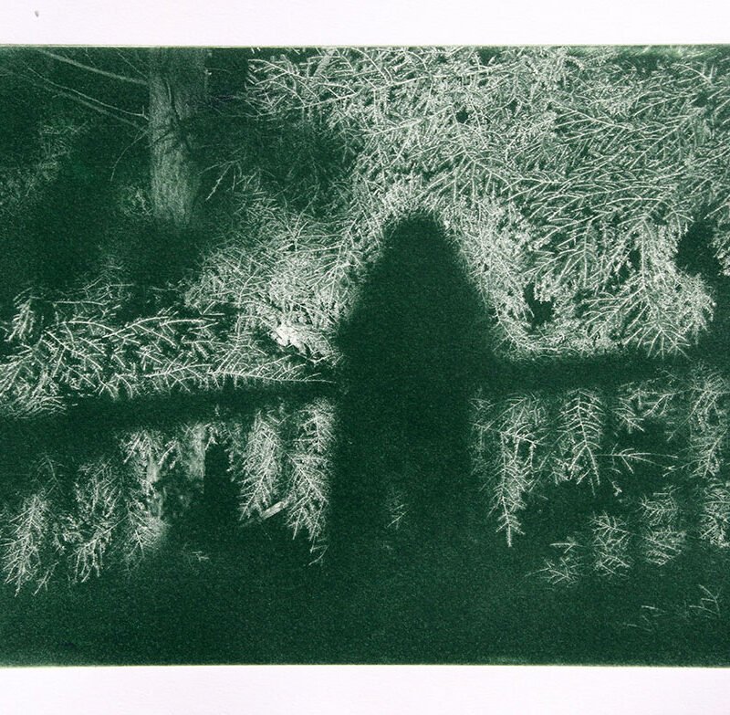Carol Hayman, Out of the Trees, photo intaglio, 16" x 20"