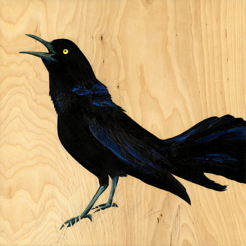 Carly Weaver, Grackle #36, oil on wood, 18" x 18"
