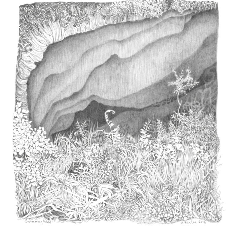 Valerie Fowler, "Swimming Hole"; Pencil on Paper; 14" x 12"