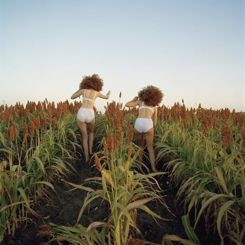 Denise Price, The Lollipop Girls Struggle on the Hard Earth, 2016, c-print
