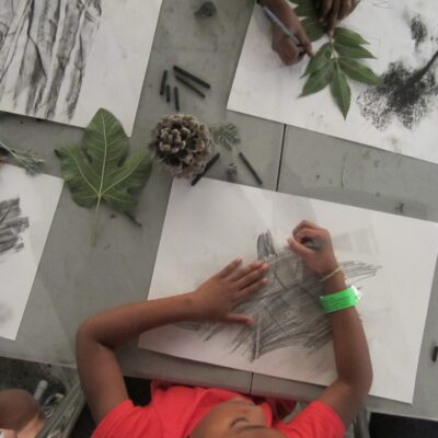 Young child making a graphite print with a leaf.